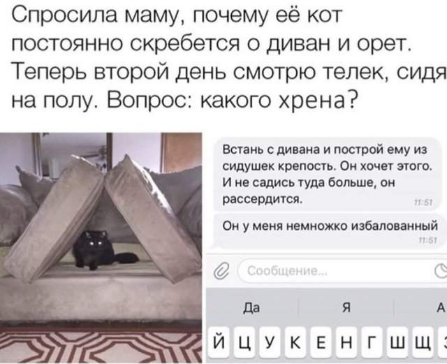 Лучшие шутки и мемы с просторов интернета