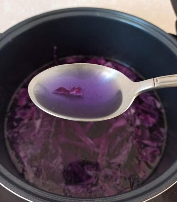 Фиолетовый борщ