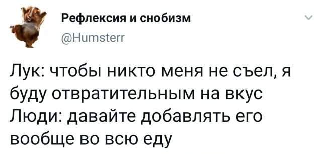 Твит про лук