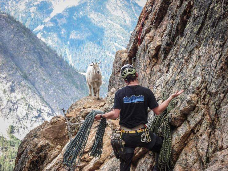 Альпинист и горный козел
