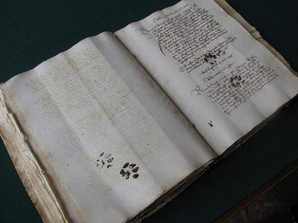 Средневековые отпечатки кошачьей лапы на рукописи