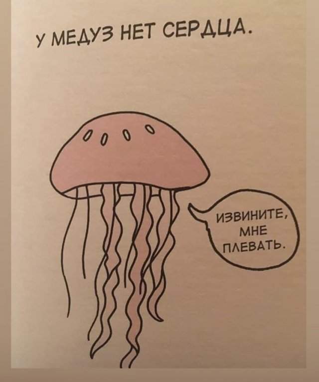 Грустные факты о животных Брука Баркера - медуза