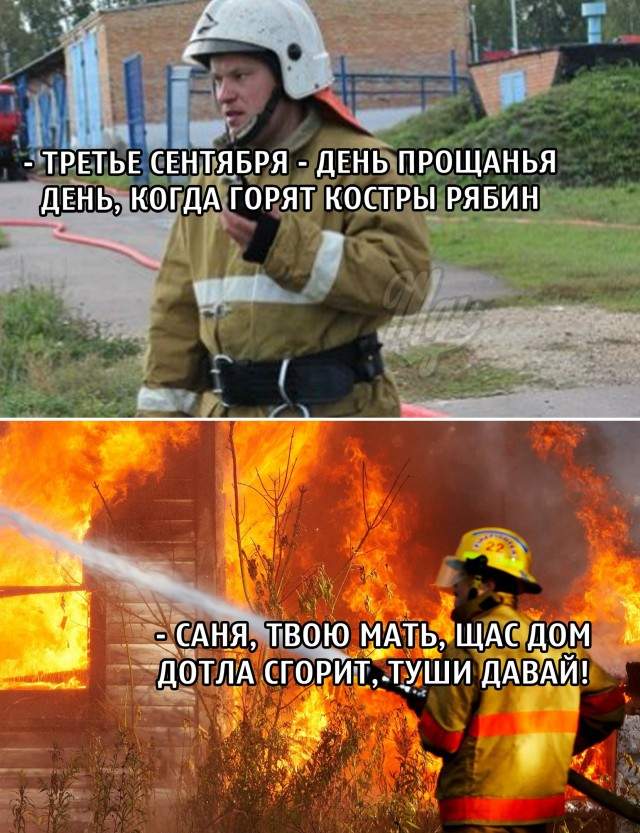 Пожарный и костры рябин