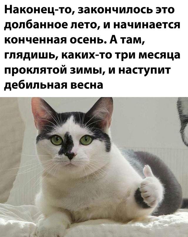 Лето закончилось