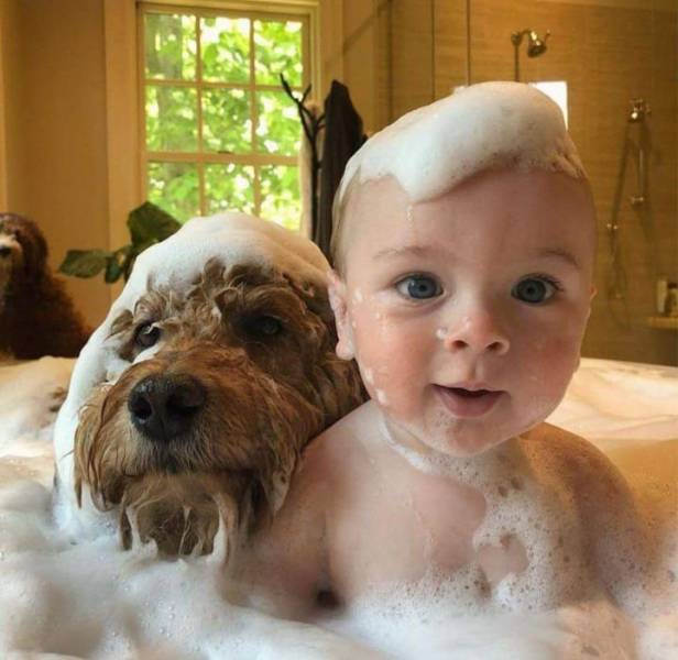 Младенец и собака в ванне