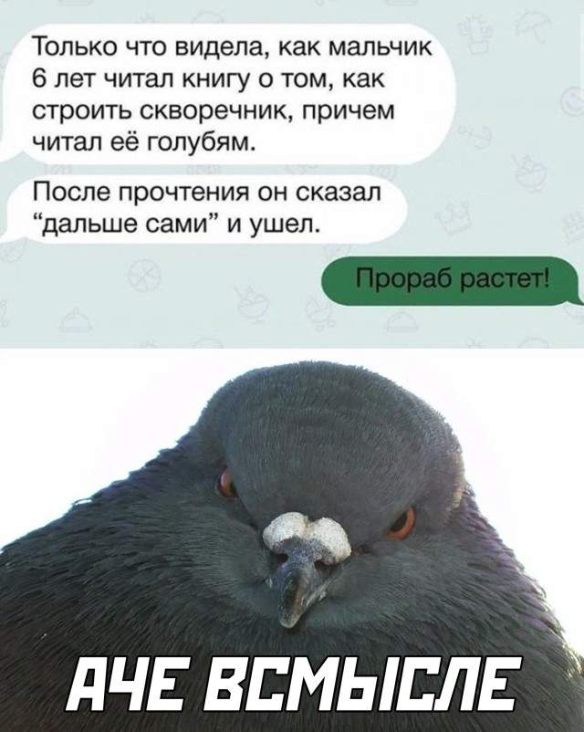 Подрастающий прораб