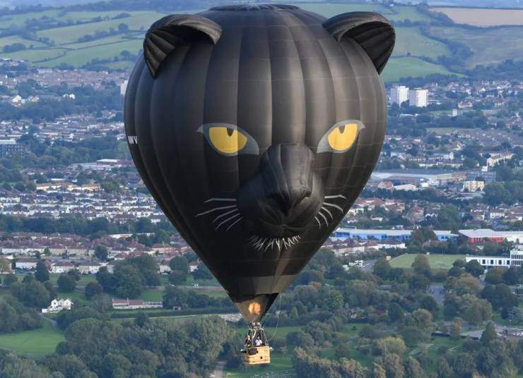 Воздушный шар черная пантера