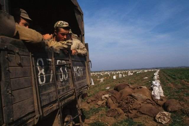 Армия используется для уборки картофеля, 1998 год.
