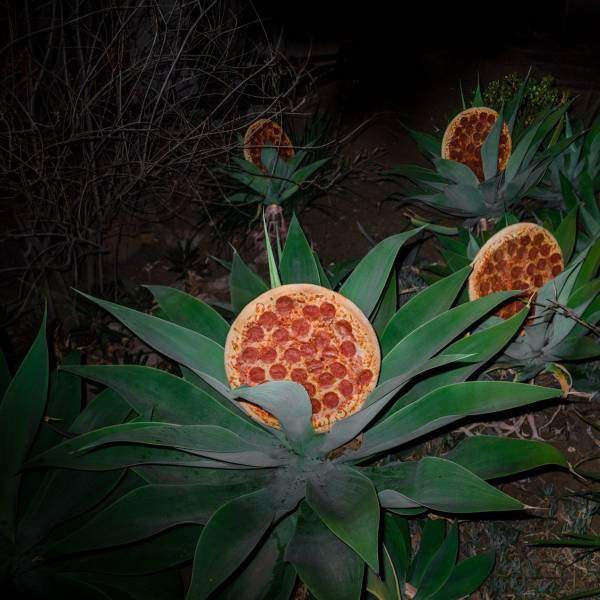 Пиццы растут в поле