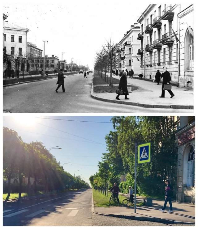 Ленинградская улица в Пушкине.1972 и 2020 год.