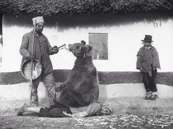Лечение спины медведем. Румыния, 1946 год