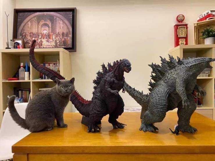 Кот и динозавры