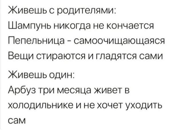 Рассуждения про жизнь одному