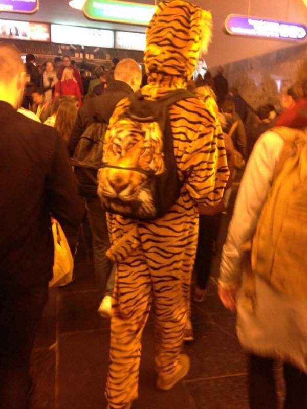 мужчина в костюме тигра