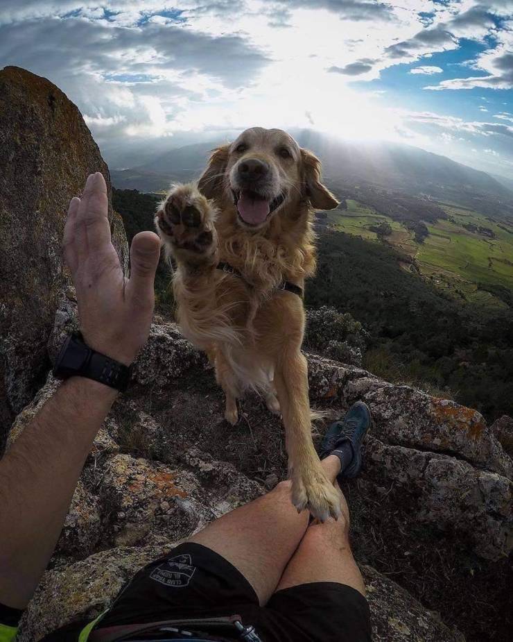 Фото с собакой на вершине горы
