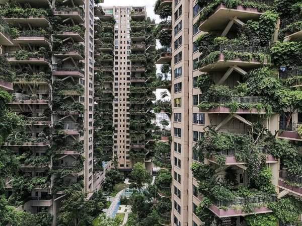 Жилой комплекс Qiyi City Forest Garden, Чэнду, Китай