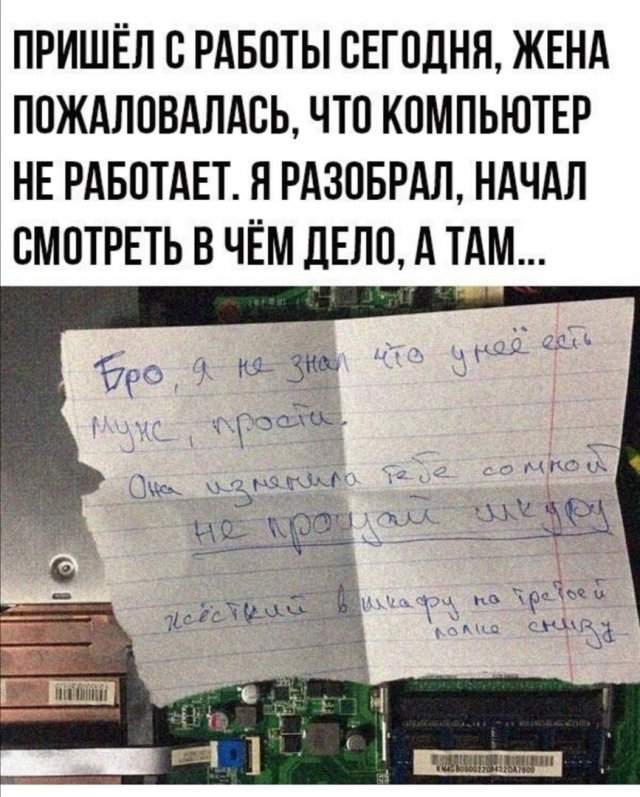 Приколы про современных девушек