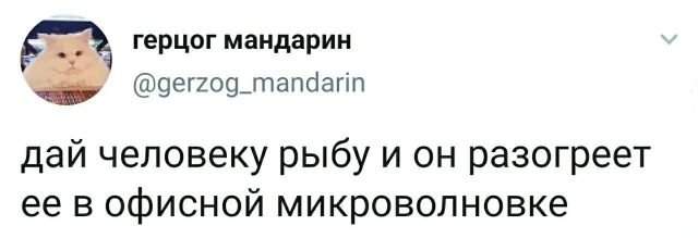 твит про рыбу