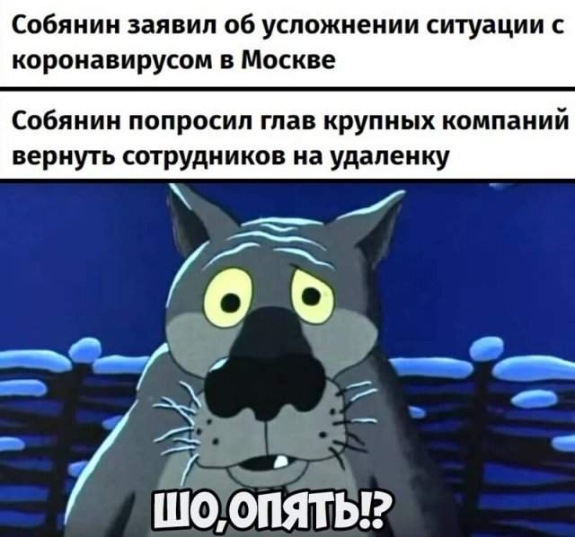 Реакция россиян на повторное введение ограничений в Москве из-за коронавируса