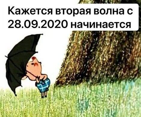 Реакция россиян на повторное введение ограничений в Москве из-за коронавируса