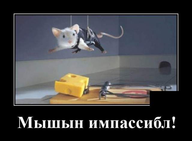 Демотиватор про мышь