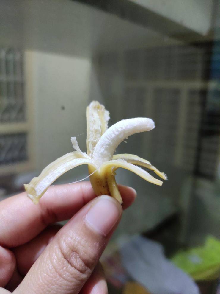 Крохотный банан