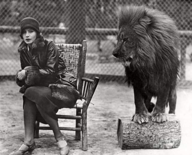 Грета Гарбо и лев Лео, 1926 год, США