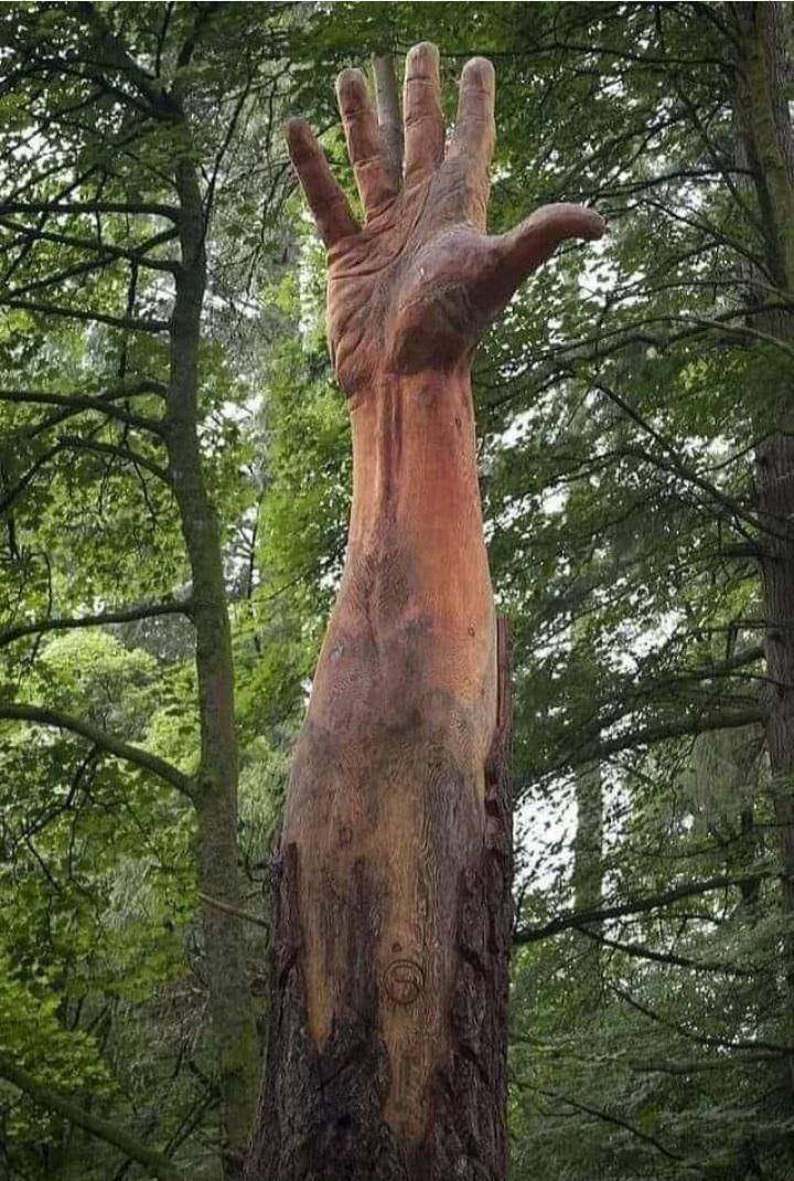 Рука из дерева
