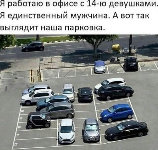 Шутка про девушек