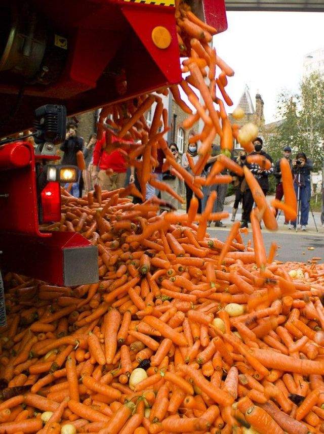 Высыпают морковь