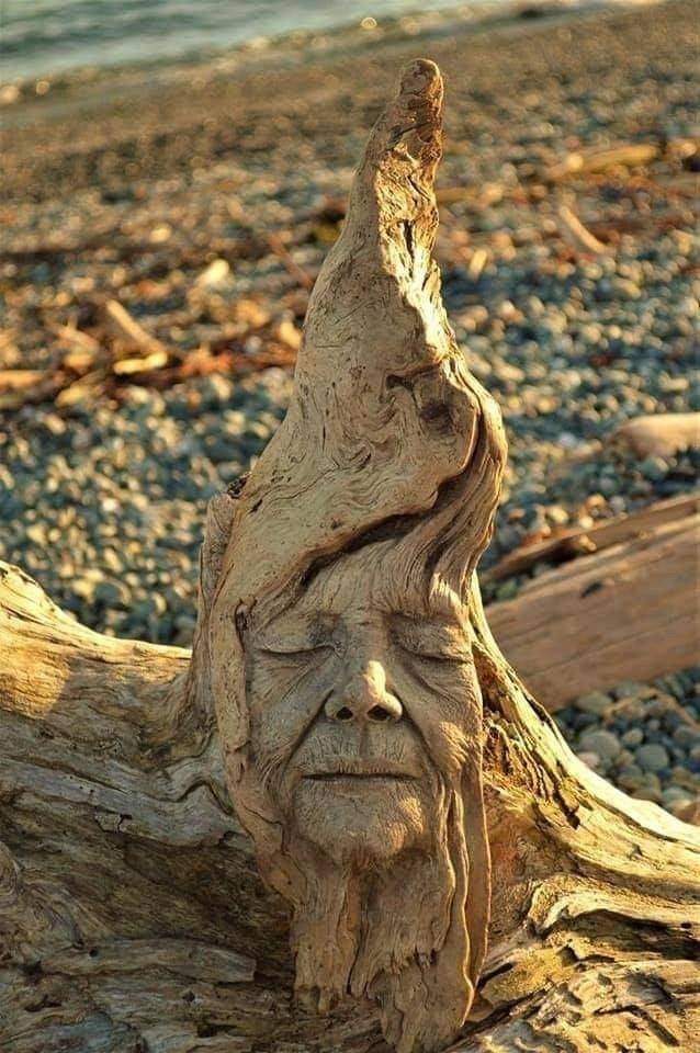 Лицо из дерева