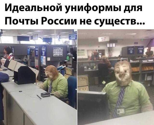 Ленивец на Почте России