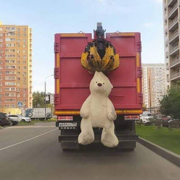 Вывоз огромного медведя на мусоровозе