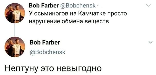 твит про осьминогов