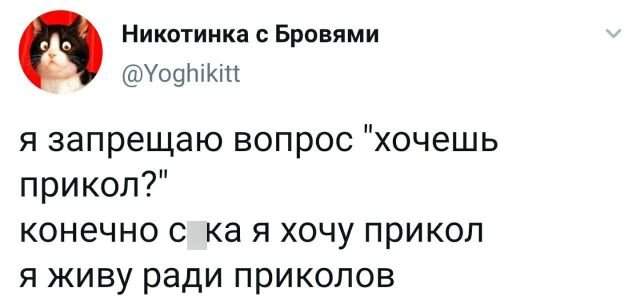 твит про приколы