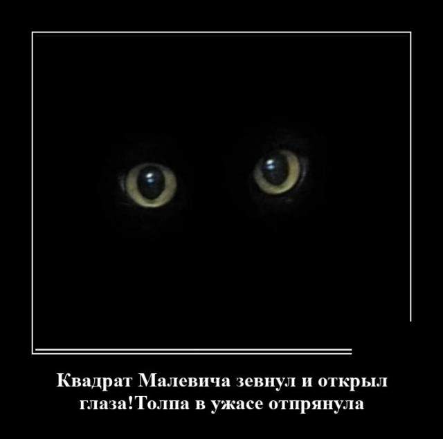 Демотиватор про кота в темноте