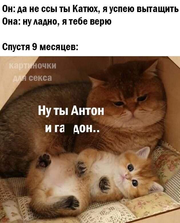 Мемы и приколы про &quot;это&quot;