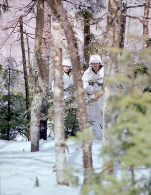 Зимние камуфляжные костюмы, 1981–1984 гг