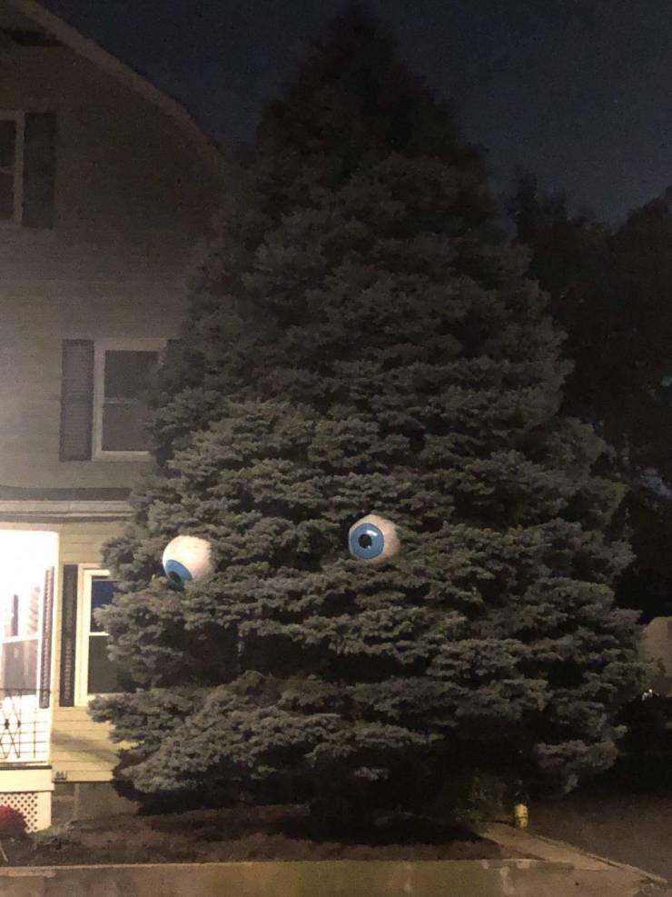 Дерево с глазами