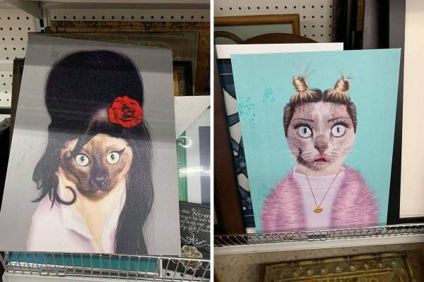 Постеры с гламурными кошками