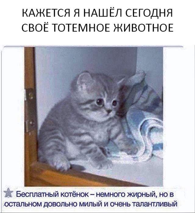 Мое тотемное животное