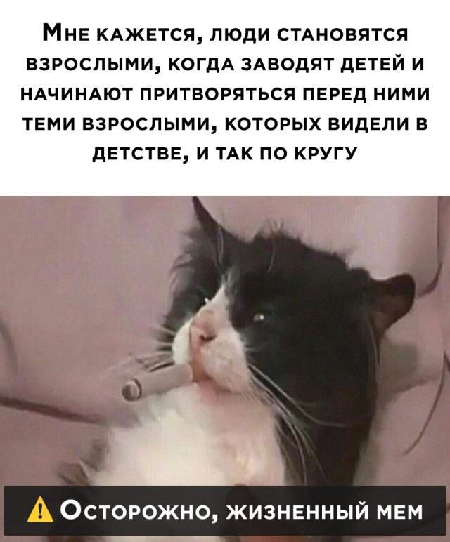 Жизненный мем