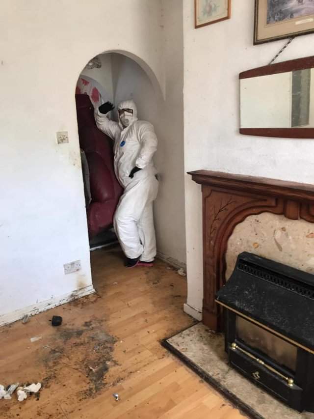 Клинеры показали результаты уборки в доме в графстве Камбрия - моют гостиную