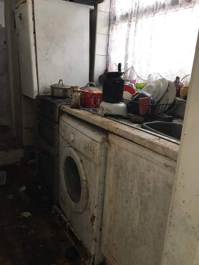 Клинеры показали результаты уборки в доме в графстве Камбрия - моют кухню