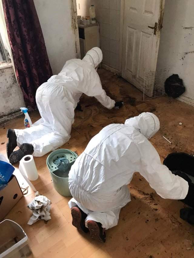 Клинеры показали результаты уборки в доме в графстве Камбрия - убирают пол
