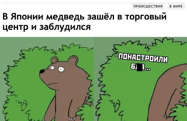Медведь заблудился в ТЦ