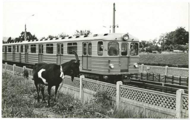 Святошинско–Броварская линия метрополитена, 1972 год, Киев