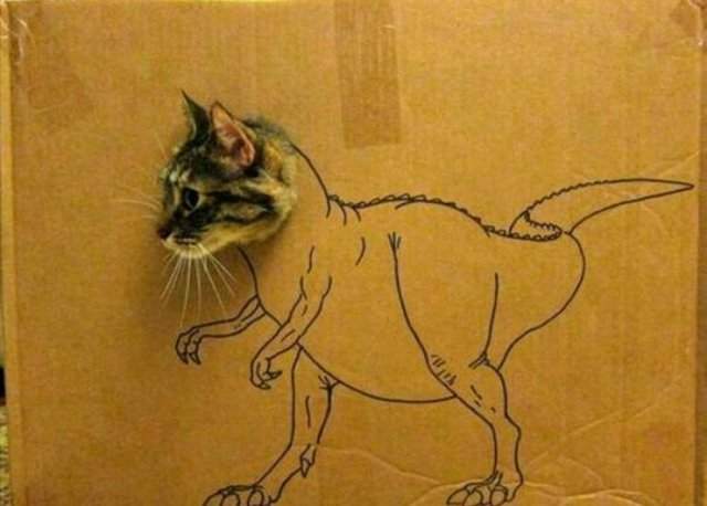Кот динозавтр