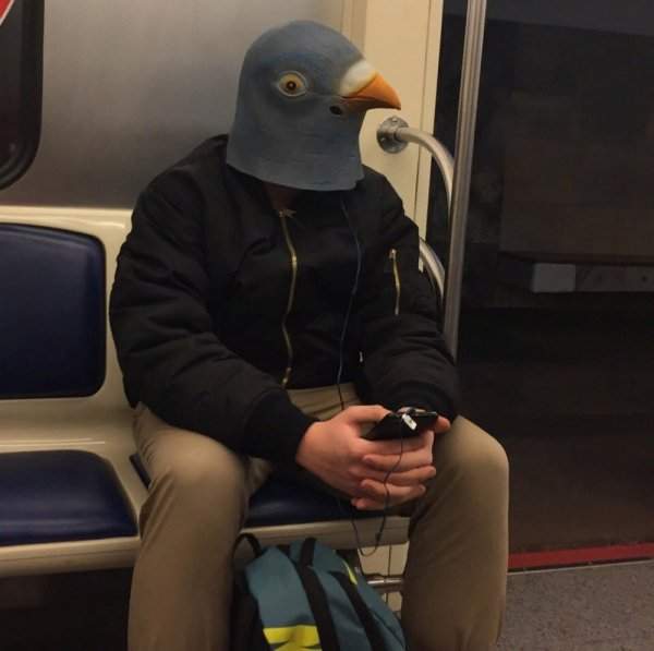 мужчина в маске голубя