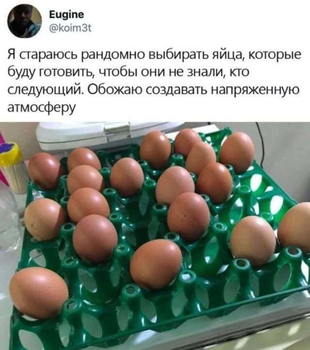 твит про яйца